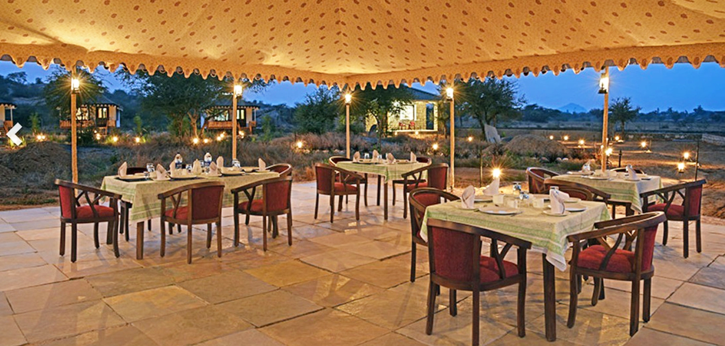 Jawai Leopard Safari